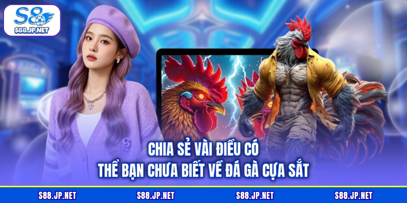 Chia sẻ vài điều có thể bạn chưa biết về đá gà cựa sắt Chia sẻ vài điều có thể bạn chưa biết về đá gà cựa sắt